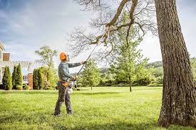 Lawn Drainage Solutions in Fair Lakes, VA
