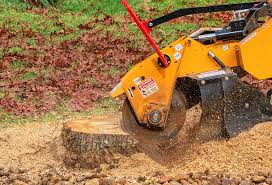 Best Lawn Maintenance Plans  in Fair Lakes, VA