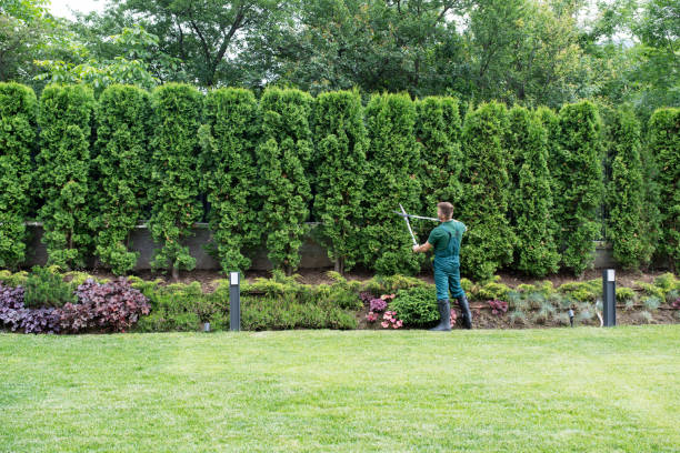 Best Landscape Design and Installation  in Fair Lakes, VA
